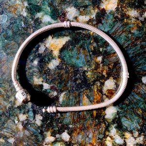 Pandora 7.9” Moments Snake Chain Bracelet